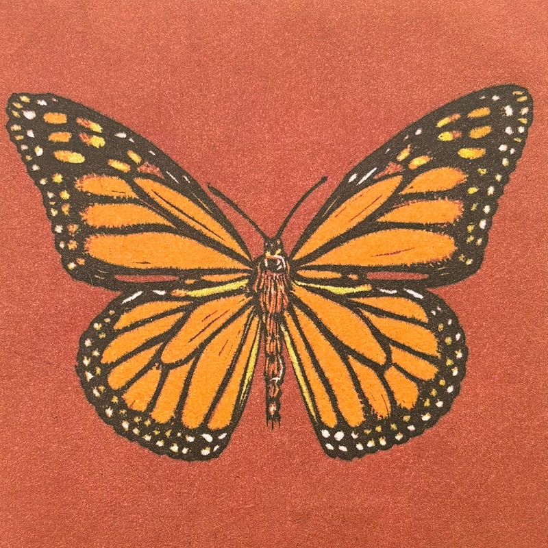 Monarch